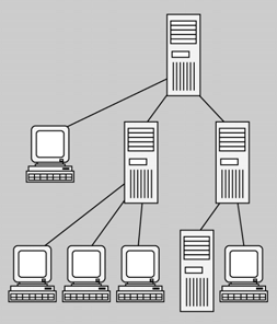 Topologia física jeràrquica/-20