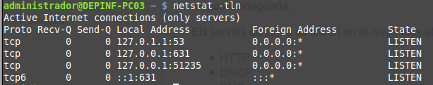 Execució de netstat -tl